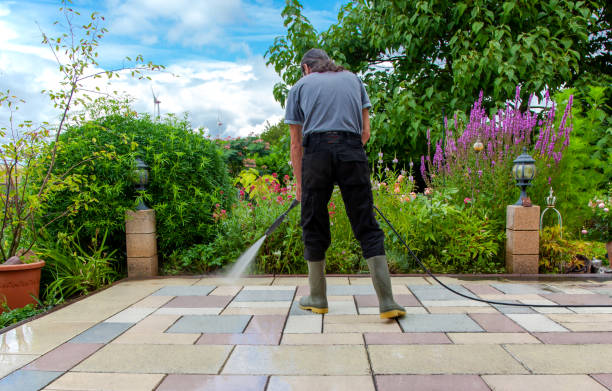 Best Spring Cleaning  in Anza, CA